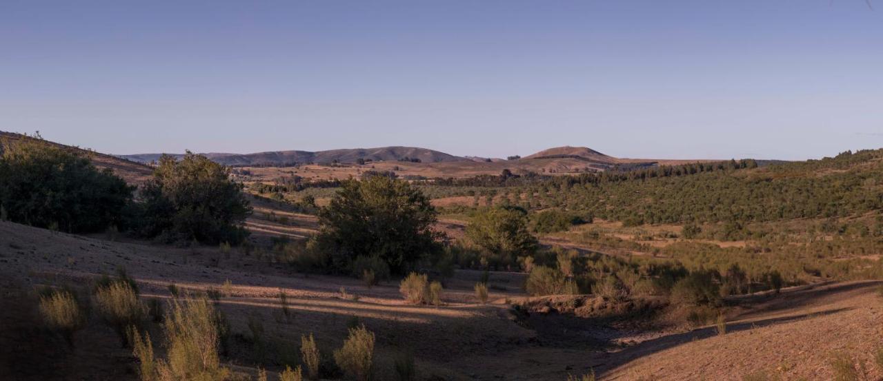 Posada La Serena Minas Buitenkant foto
