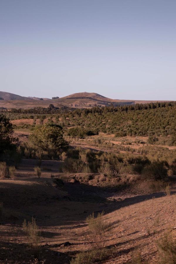 Posada La Serena Minas Buitenkant foto